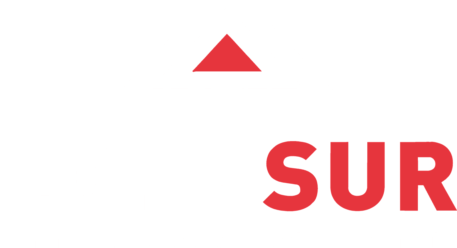 Zona Sur - Materiales de construcción y ferretería